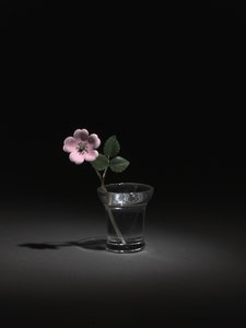 Wild Rose, late 1800s-early 1900s dani