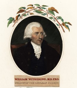 Portræt af William Withering, læge og botaniker af Carl Frederik van (after) Breda