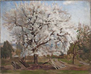 Æbletræ i blomst, 1877