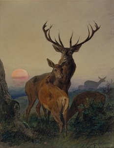En kronhjort med en hjort i et skovklædt landskab ved solnedgang af Carl Friedrich Deiker