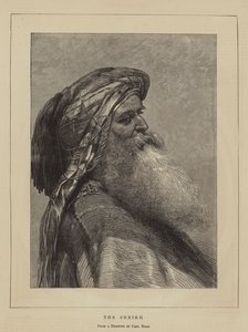 Sheiken