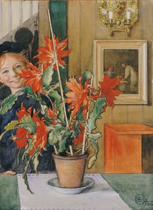 Britas kaktus, 1904 af Carl Larsson