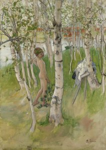 Nøgen dreng blandt birkes, 1898 (wc på papir)