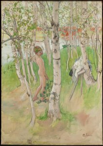 Ulf. Nøgen dreng blandt birketræer af Carl Larsson
