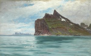 Udsigt fra Kap Nord, Island, fra den kongelige danske rejse i 1907 med dampskibet SS Birma af Carl Locher