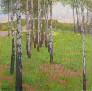 Birkelund i aftenlyset