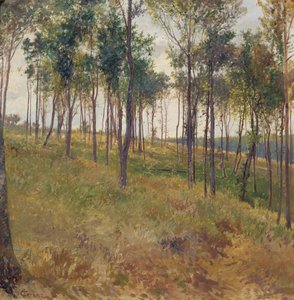 Skovmotiv nær Kritzendorf af Carl Raimund Lorenz