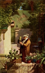 Kaktus af Carl Spitzweg