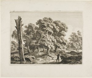 Landskab