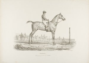 Constance, Ejendommen af hr. J.G. Schickler af Carle Vernet