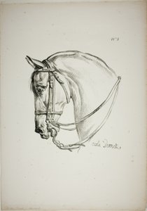 Detalje af hestehoved, forstørret til tredobbelt størrelse, Norman Royal Guard, nr. 2 af Carle Vernet