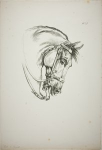 Detalje af hestehoved, forstørret til tredobbelt størrelse, Norman Royal Guard, nr. 5, First Limoges Horse af Carle Vernet