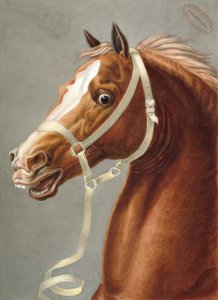 Paradegrime for kavaleriet af Carle Vernet
