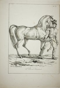 Royal Guard, Norman Cavalier, ikke i fuld kjole, og hest, nr. 3 af Carle Vernet