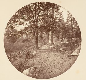 I Yosemite Valley, ca. 1878. af Carleton Emmons Watkins