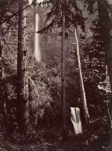 Multnomah Falls, Oregon, 1867, trykt senere. af Carleton Emmons Watkins