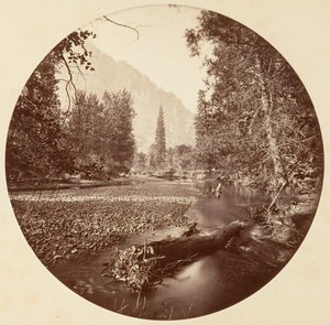 [Yosemite National Park, Californien], ca. 1878. af Carleton Emmons Watkins