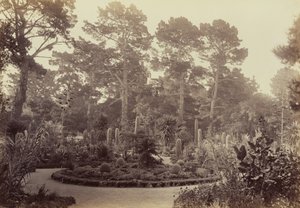  af Carleton Watkins