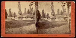 Big Tree Station, Mariposa Grove af Carleton Watkins