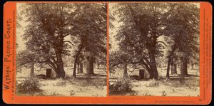 Hytte i Camp Grove, Yosemite Valley, Mariposa County, Ca af Carleton Watkins