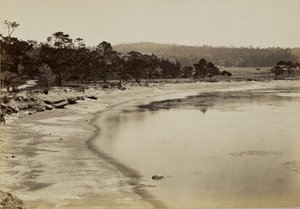  af Carleton Watkins