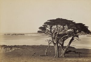  af Carleton Watkins