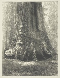 Kopi af Carleton Watkins