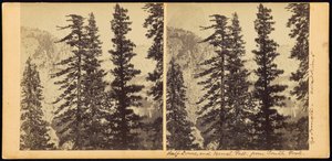 Half Dome og Vernal Fall, fra South Fork af Carleton Watkins