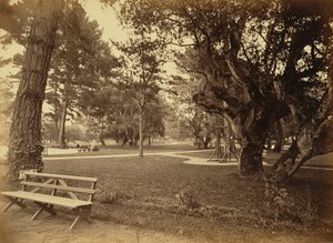[Monterey, Californien. Hotel Del Monte, Lawn View]. af Carleton Watkins