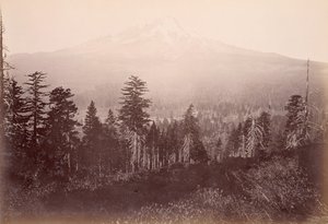  af Carleton Watkins