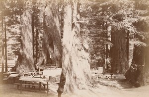  af Carleton Watkins