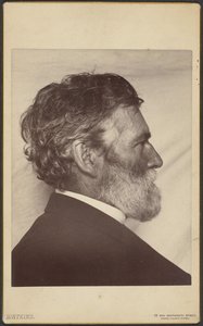 Portræt af George Davidson af Carleton Watkins