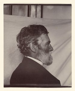 af Carleton Watkins