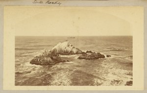 Seal Rocks. af Carleton Watkins