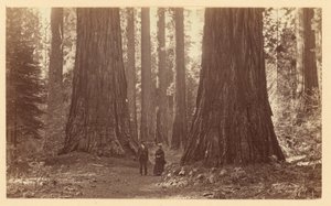  af Carleton Watkins