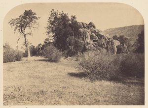 [Tower Rock - North View] af Carleton Watkins
