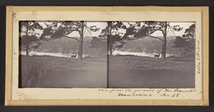 Udsigt fra Freundts grund, Mendocino af Carleton Watkins