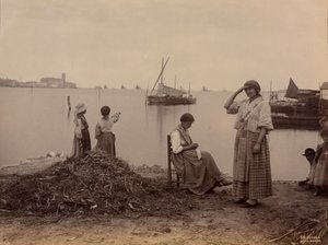 Chioggia, under marinaen