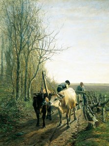 Forventet skat (okser koblet til vognen)
