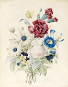 En spray af blomster inklusive en rose, en blå konvolvulus og stedmoderblomster, 1830 (wc og kropsfarve på papir)