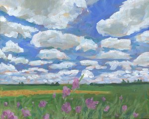 Sommerhimmel over vilde blomster