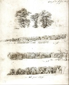 Studier af træer 1809 af Caspar David Friedrich