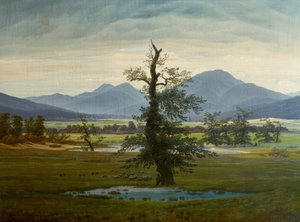 Landsbylandskab med morgenbelysning
