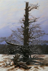Egetræ i sneen. 1829 af Caspar David Friedrich