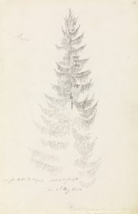 Gran af Caspar David Friedrich