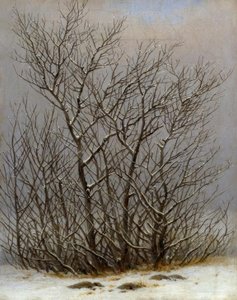 Buske i sneen af Caspar David Friedrich