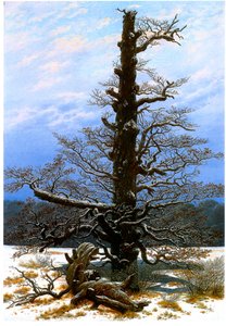 Tysk: Eichbaum im Schnee Egetræet i sneen af Caspar David Friedrich