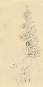 Tysk: Studie mit Fichten und Felsen Studie af grantræer og en sten af Caspar David Friedrich