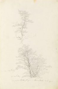 Gruppe af unge træer af Caspar David Friedrich