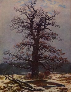 Eg i sneen af Caspar David Friedrich